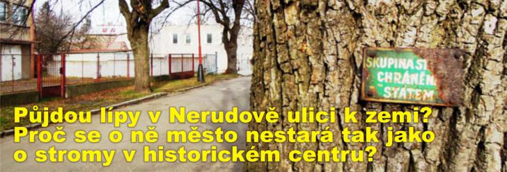 Půjdou lípy v Nerudově ulici k zemi? Proč se o ně město nestará tak jako o stromy v historickém centru?