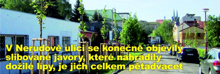 V Nerudově ulici se konečně objevily slibované javory, které nahradily dožilé lípy, je jich celkem pětadvacet