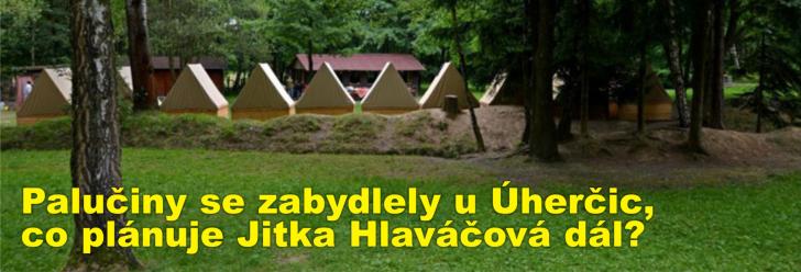 Palučiny se zabydlely u Úherčic, co plánuje Jitka Hlaváčová dál?
