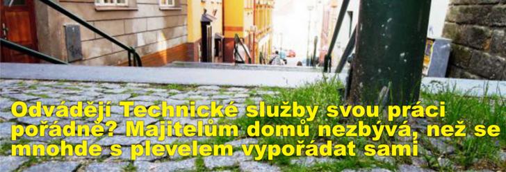 Odvádějí Technické služby svou práci pořádně? Majitelům domů nezbývá, než se mnohde s plevelem vypořádat sami