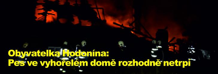 Obyvatelka Hodonína: Pes ve vyhořelém domě rozhodně netrpí