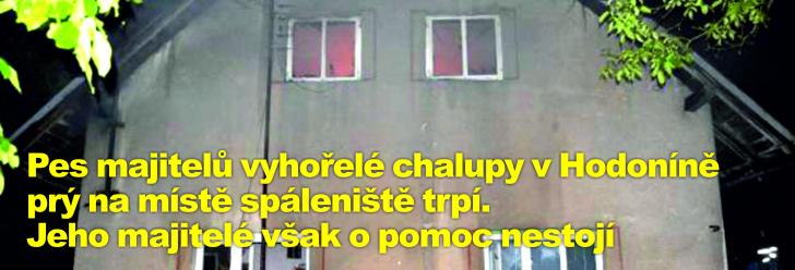 Pes majitelů vyhořelé chalupy v Hodoníně prý na místě spáleniště trpí. Jeho majitelé však o pomoc nestojí