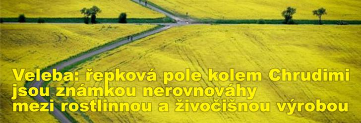 Senátor Veleba: řepková pole kolem Chrudimi jsou známkou nerovnováhy mezi rostlinnou a živočišnou výrobou