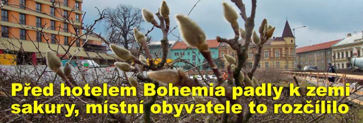 Stavebním pracem padly před hotelem Bohemia za oběť sakury a pivoňky, místní obyvatele to rozčílilo