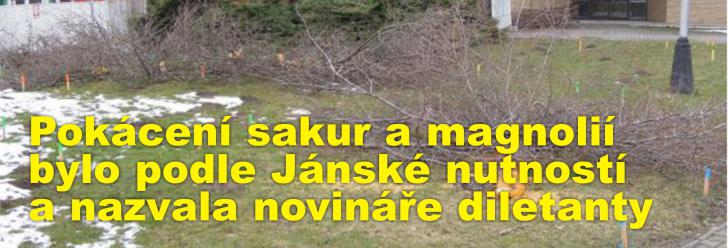 Pokácení sakur a magnolií před hotelem Bohemia bylo podle Jánské nutností a nazvala novináře diletanty