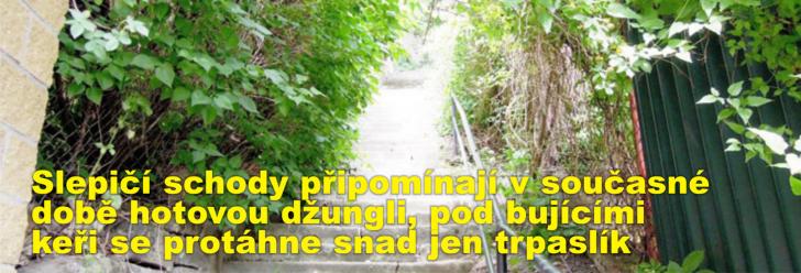 Slepičí schody připomínají v současné době hotovou džungli, pod bujícími keři se protáhne snad jen trpaslík