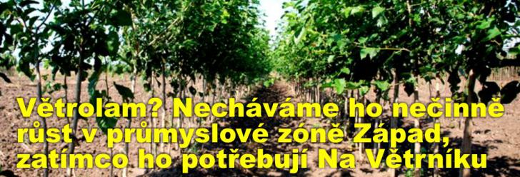 Větrolam? Necháváme ho nečinně růst v průmyslové zóně Západ, zatímco ho potřebují Na Větrníku