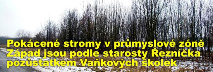Pokácené stromy v průmyslové zóně Západ jsou podle starosty Řezníčka pozůstatkem Vaňkových školek