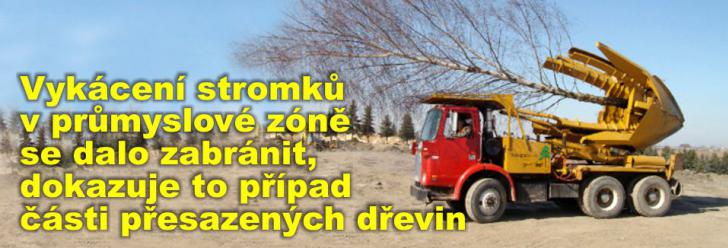 Vykácení stromků v průmyslové zóně Západ se dalo zabránit, dokazuje to případ části přesazených dřevin