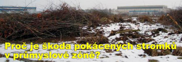Proč je škoda pokácených stromků v průmyslové zóně?