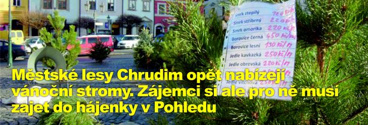 Městské lesy Chrudim opět nabízejí vánoční stromy. Zájemci si ale pro ně musí zajet do hájenky v Pohledu