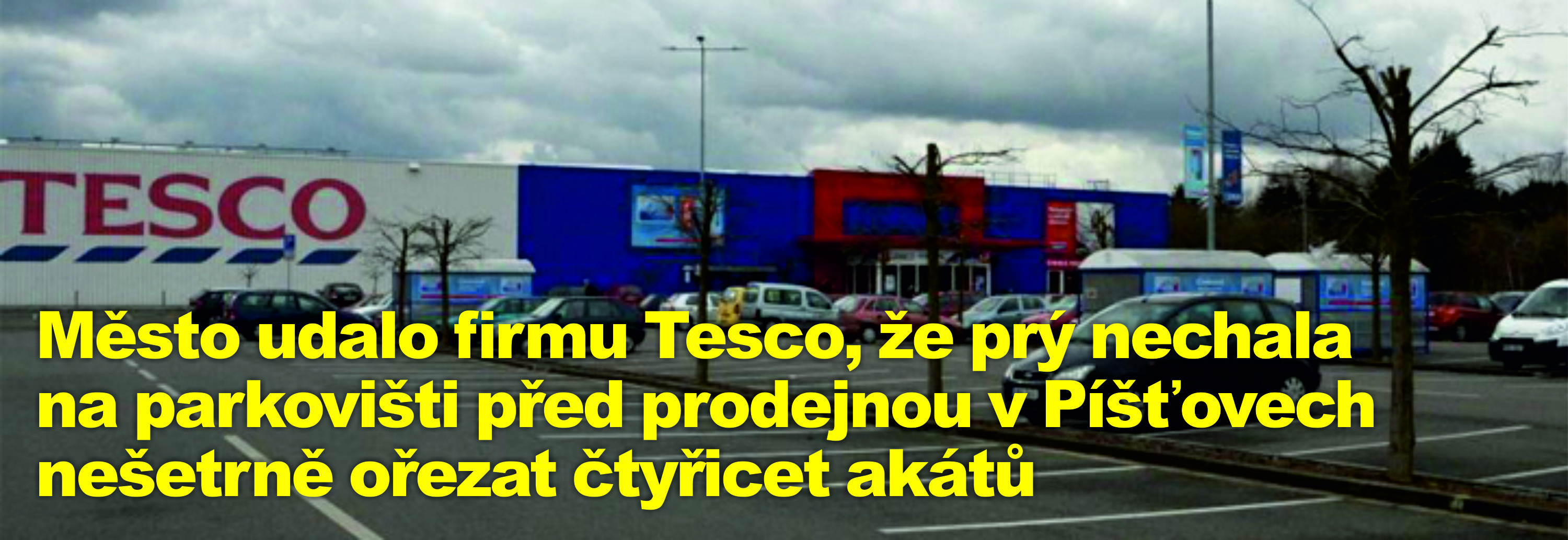 Město udalo firmu Tesco, že prý nechala na parkovišti před prodejnou v Píšťovech nešetrně ořezat čtyřicet akátů
