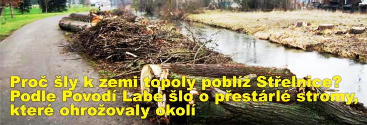 Proč šly k zemi topoly poblíž Parku Střelnice? Podle Povodí Labe šlo o přestárlé stromy, které ohrožovaly okolí