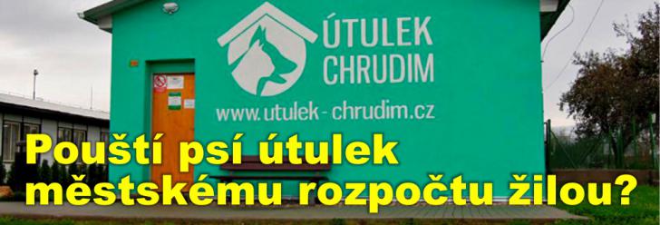 Pouští psí útulek městskému rozpočtu žilou?