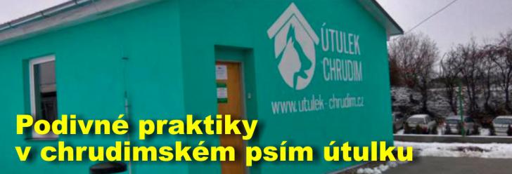 Podivné praktiky v chrudimském psím útulku vyvolávají otázníky, mají pravdu strážníci nebo ředitel Kolář?