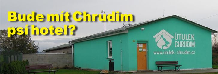 Bude mít Chrudim psí hotel? Ředitel Technických služeb Kolář to nevylučuje a čelí útokům na internetu