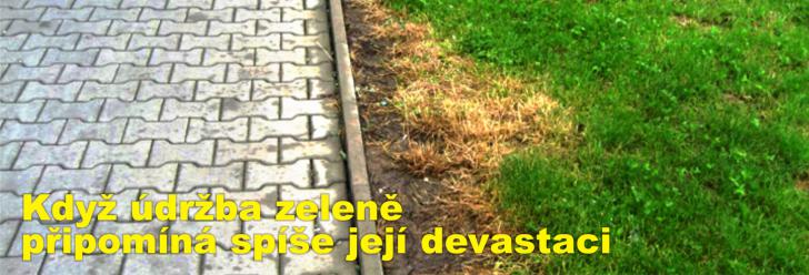 Když údržba zeleně připomíná spíše její devastaci