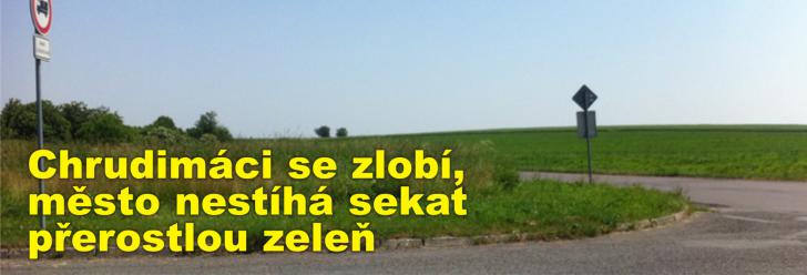 Chrudimáci se zlobí, město nestíhá sekat přerostlou zeleň a některá místa se dokonce stávají rizikem v dopravě