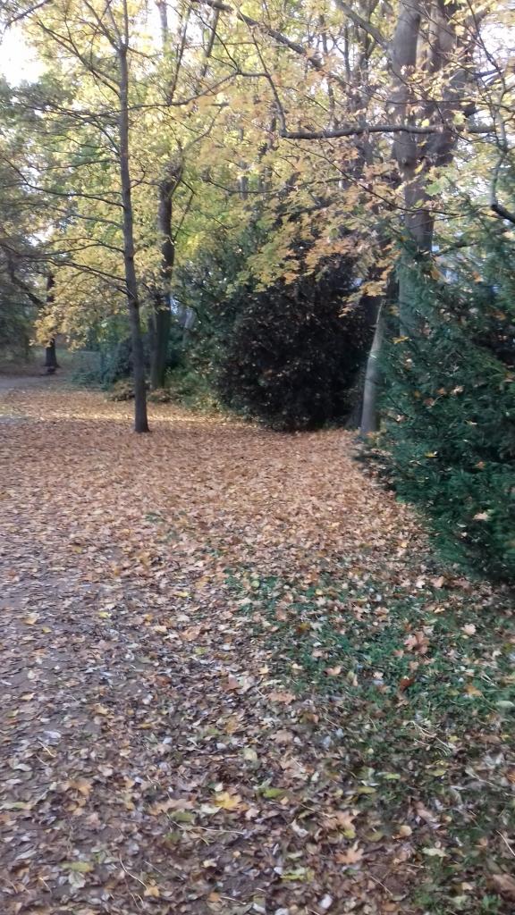 Město získalo bez placení pozemek za více než tři sta tisíc korun