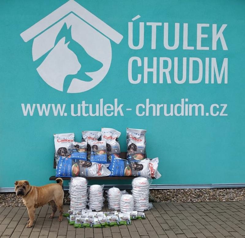 Útulek přechází pod Sociální podnik města Chrudim