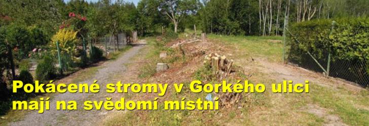 Pokácené stromy v Gorkého ulici mají na svědomí místní obyvatelé
