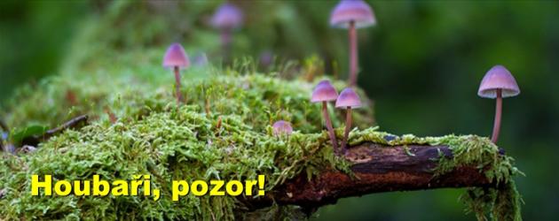 Houbaři, pozor!