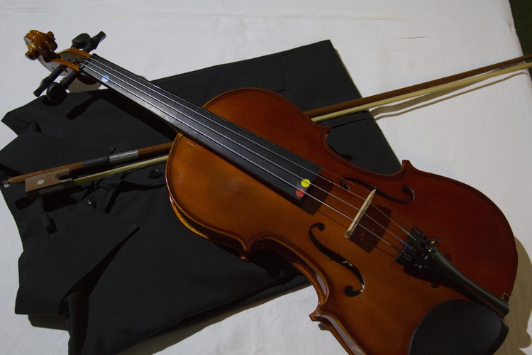 Koncert účastníků Mezinárodních smyčcových kurzů
