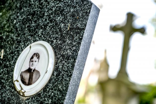 Informační tabule na hřbitově u svatého Václava v červnu