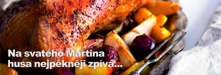 Na svatého Martina husa nejpěkněji zpívá...