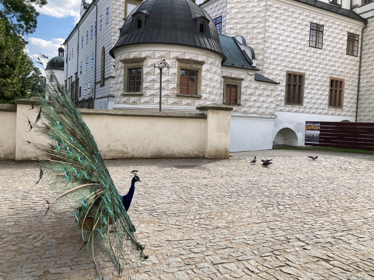 Oslavy na zámku zpestří šermíři a salva z kanonů