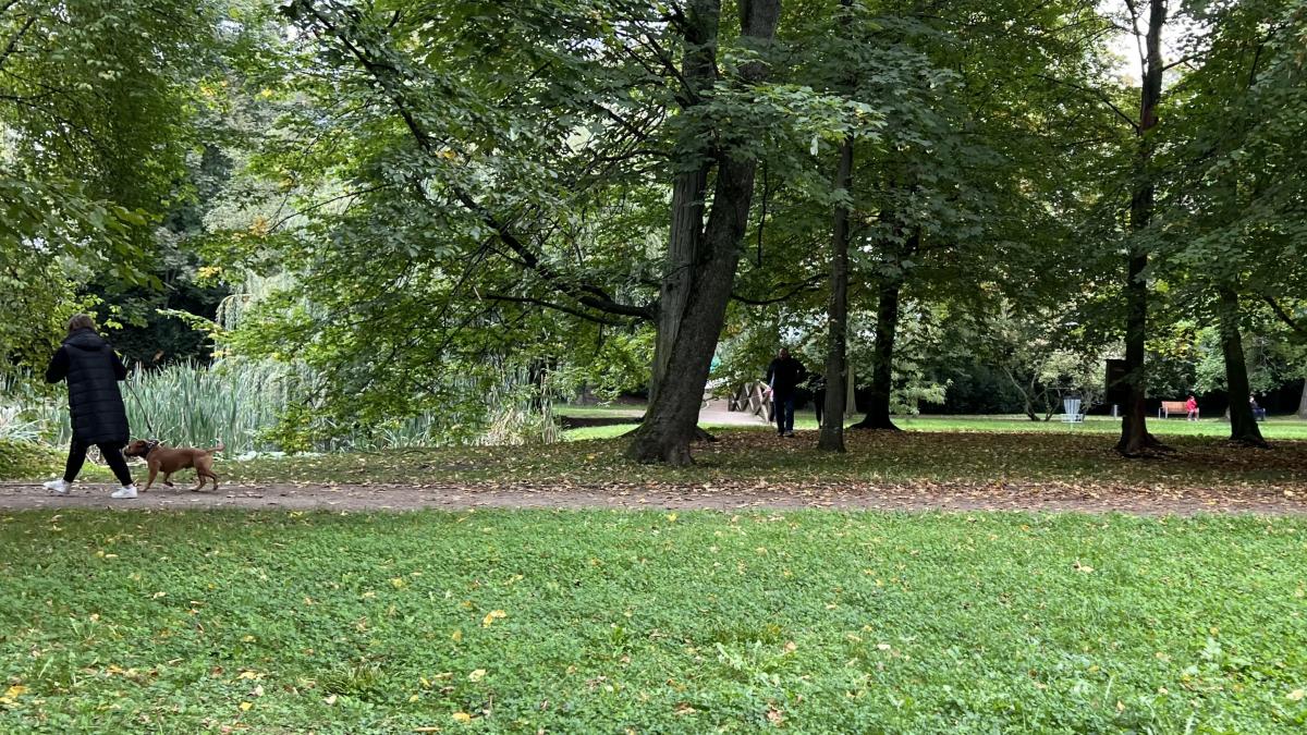 Pohodu Městského parku narušují nečekaní vetřelci