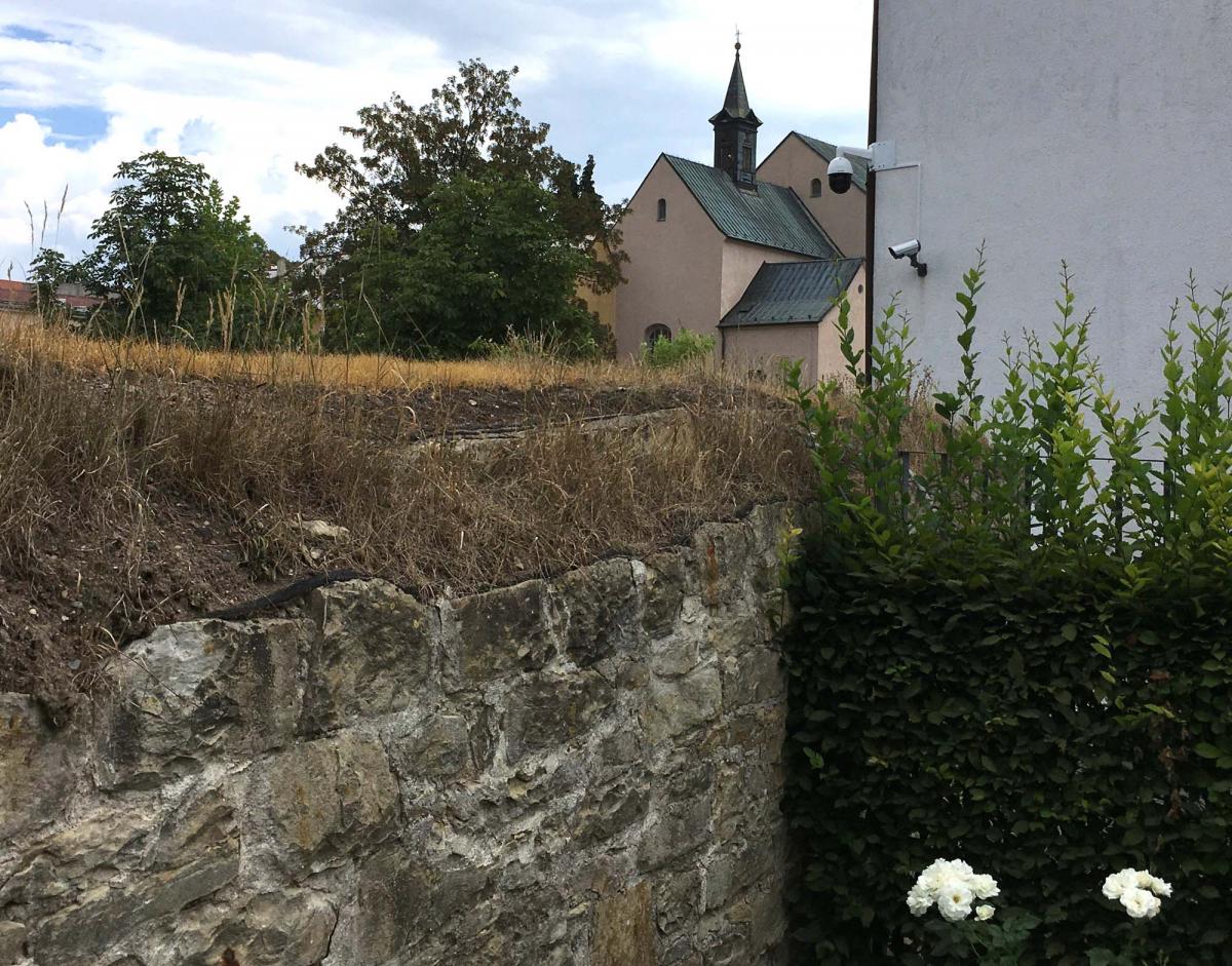 Za péči o zeleň v Klášterkách inkasuje zdejší podnikatelka 120 tisíc