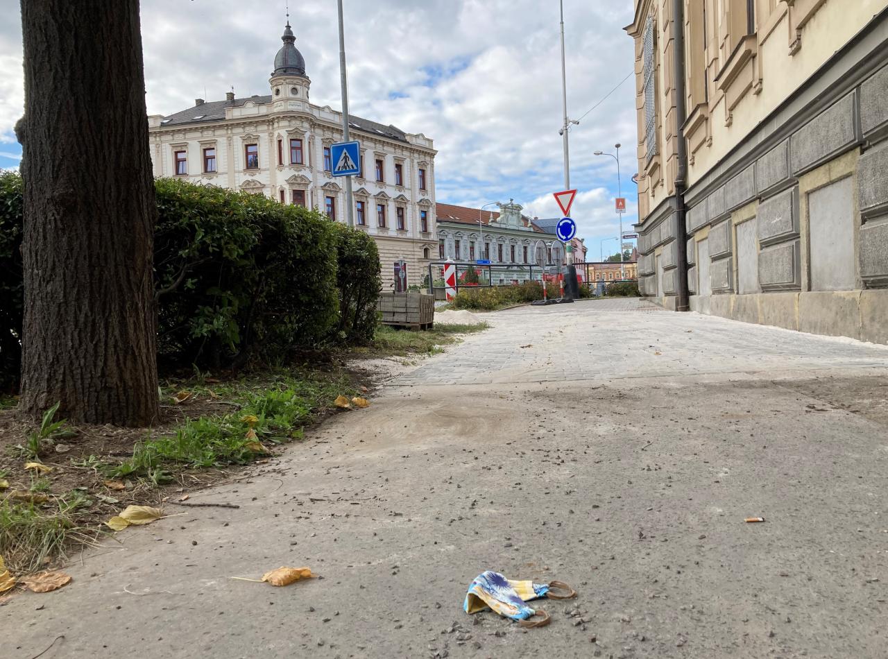 Měl muž, co vylezl na strom, nařízenou karanténu?