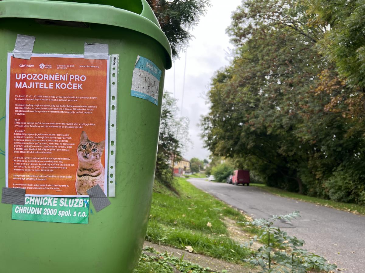 Chrudim pokračuje v kastrování koček. V Hlinsku koluje petice