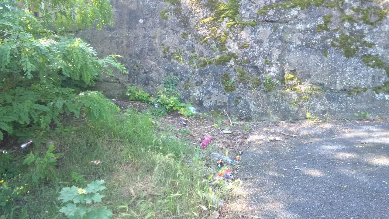 Kdo uklidí nepořádek na parkovišti za halou?
