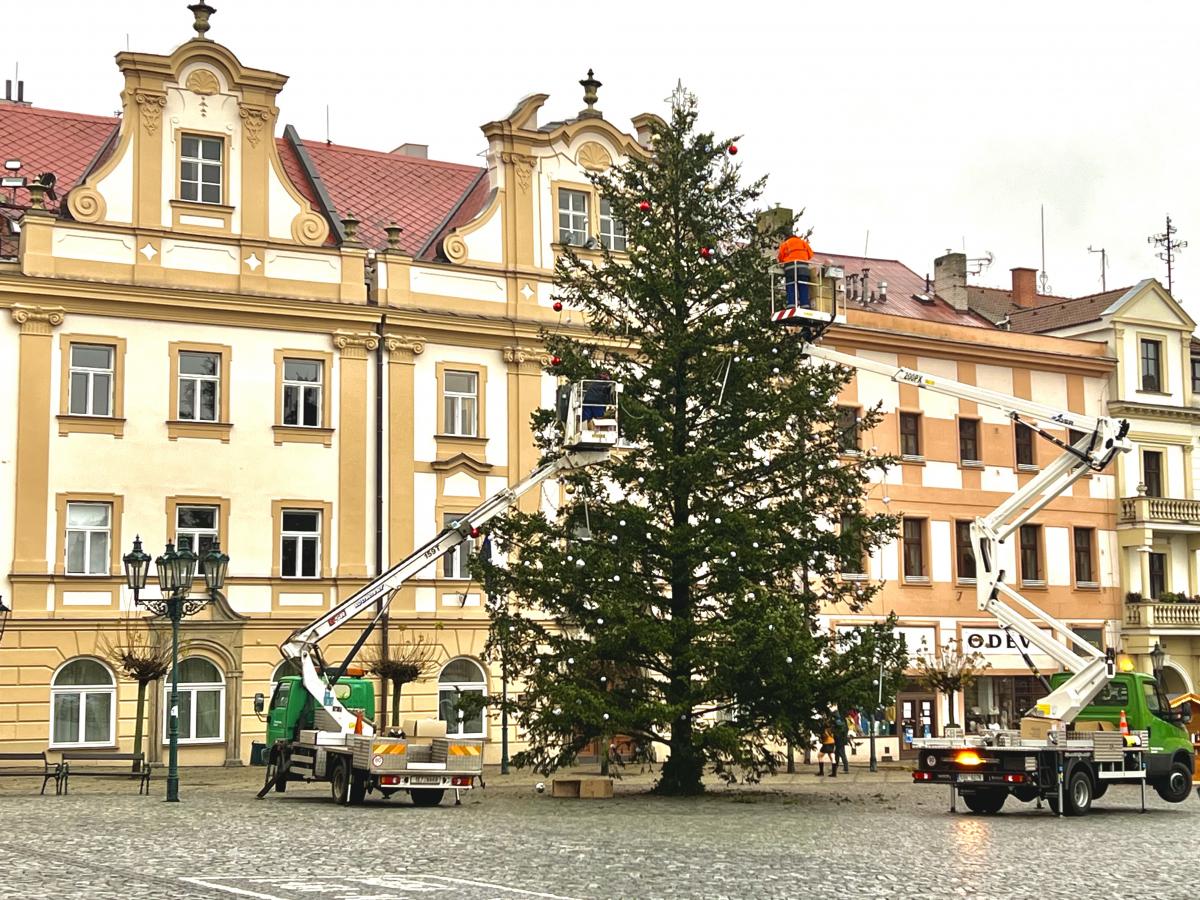 Na svatého Martina přivezou na náměstí vánoční strom