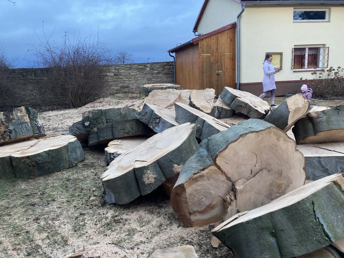 Zámecká zahrada v Chrasti přišla o svoji dominantu