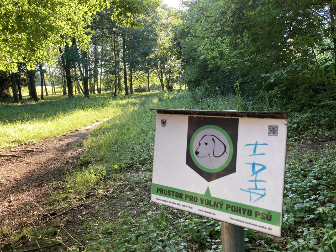 Psí výběh u Tesca připomíná po větrné smršti Boubínský prales