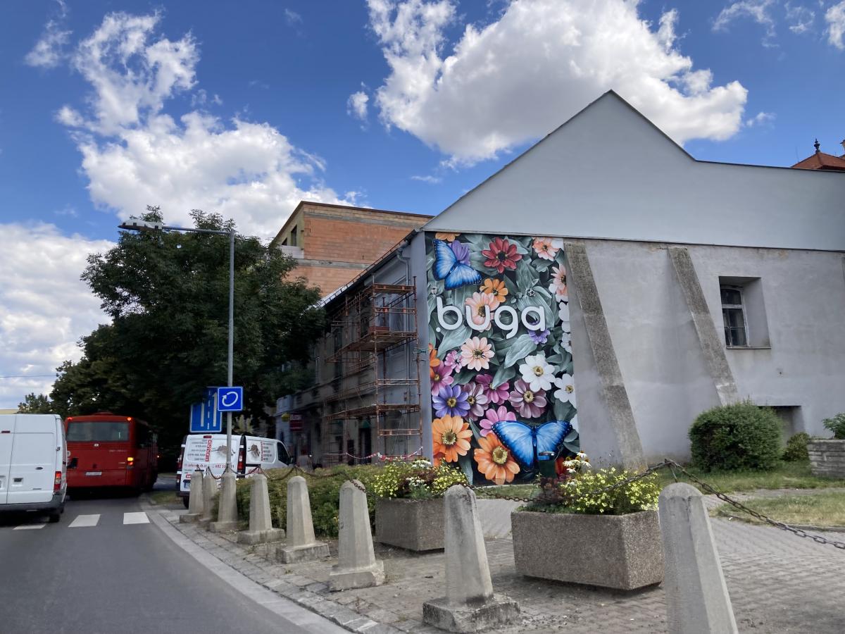 Dalším návrhem, jak zvýšit turistický ruch v centru, je mural art
