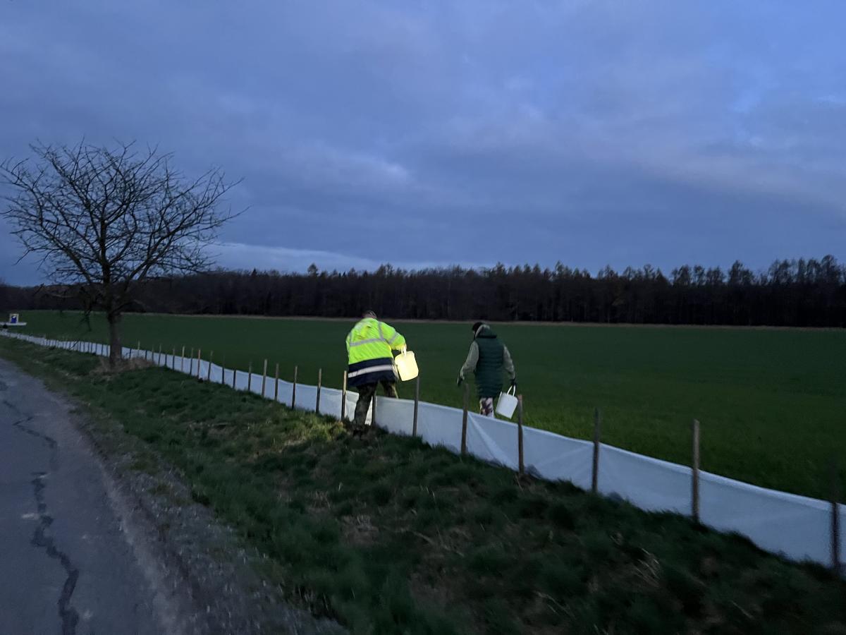 V Chrasti u Chrudimi se konala velká záchranná akce