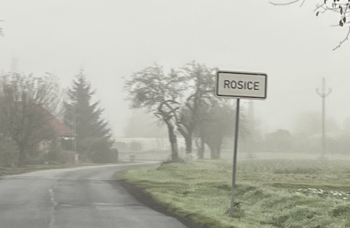 Ptačí chřipka se rozšířila do Rosic