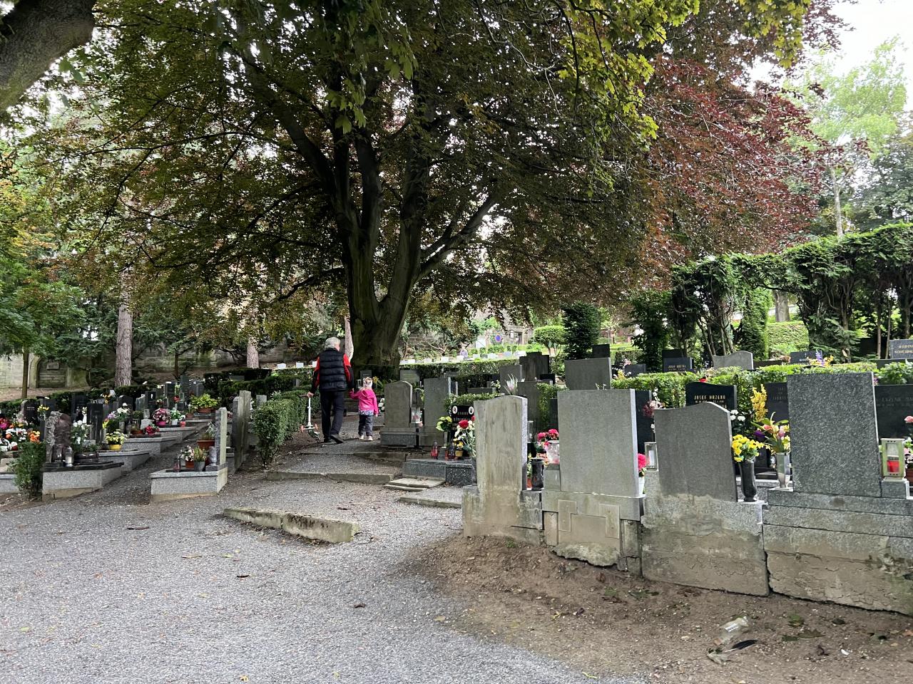 Správa hřbitovů upozorňuje na nedodržování hřbitovního řádu. Mnoho lidí o svých povinnostech neví