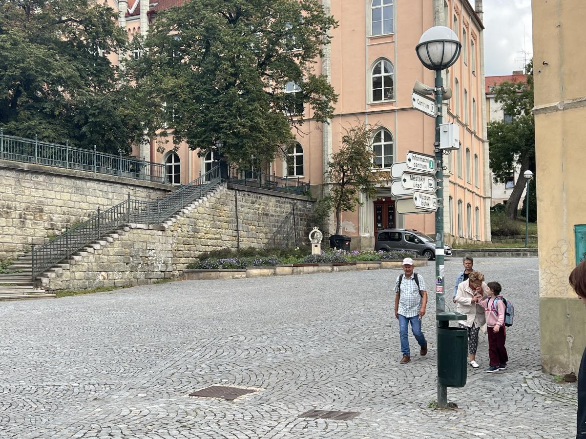 Nový strom má odvést pozornost od problémů na Žižkově náměstí