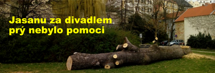 Jasanu za divadlem prý nebylo pomoci
