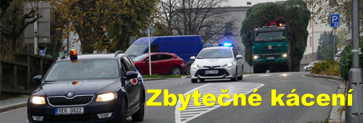 "Zbytečné kácení," myslí si o vánočním stromu někteří Chrudimáci