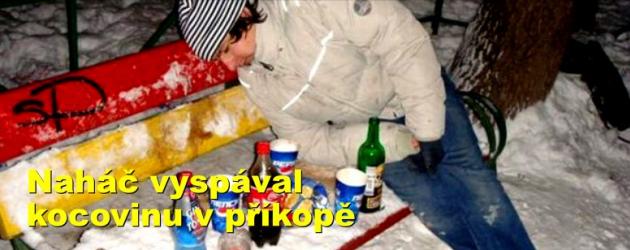 Naháč vyspával kocovinu v příkopě