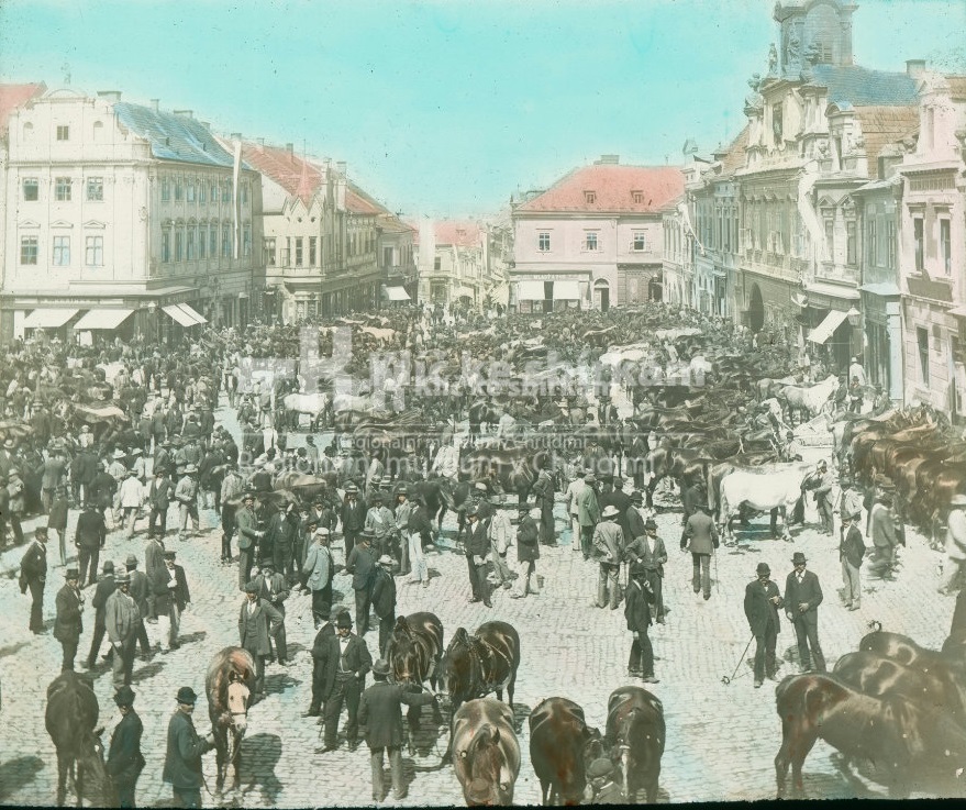 Poslední památka na slavné koňské trhy se ukrývá před galerií