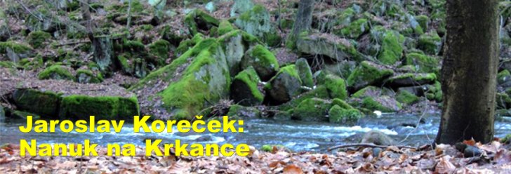 Jaroslav Koreček: Nanuk na Krkance