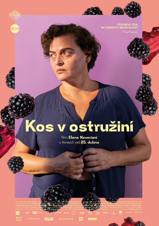 Filmový klub uvádí snímek Kos v ostružiní