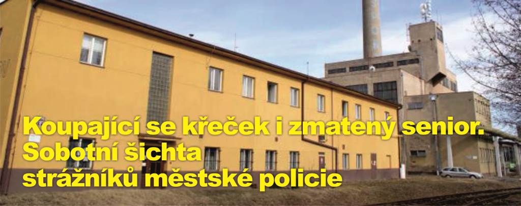 Koupající se křeček i zmatený senior. Sobotní šichta strážníků městské policie